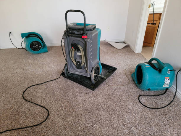 Best Water damage cleanup near me  in Chicago Heights, IL
