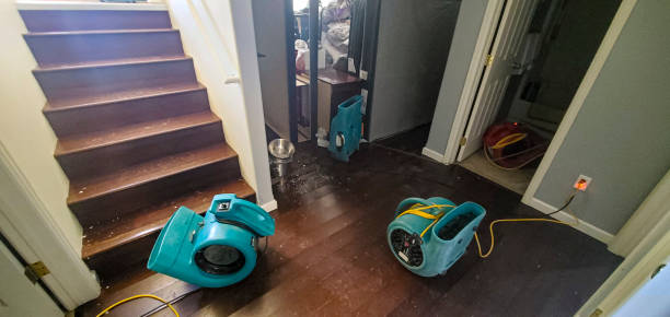 Best Sewage cleanup and water damage restoration  in Chicago Heights, IL