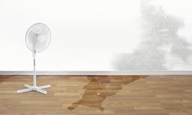 Best Flooded house restoration  in Chicago Heights, IL
