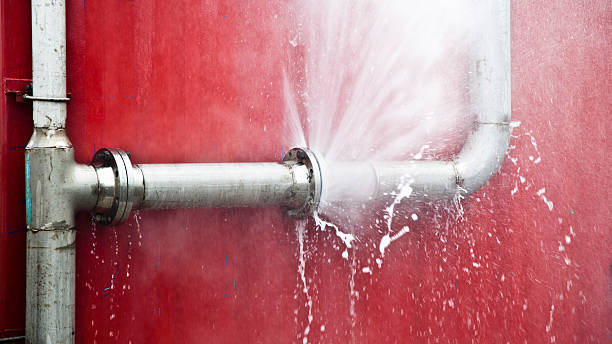 Best Local water damage restoration  in Chicago Heights, IL