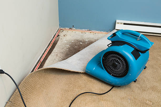 Best Fire Damage Restoration  in Chicago Heights, IL